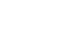 Ford's Garage